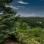 Borgo Certano - In Toscana 农家乐 *