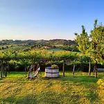 Borgo Certano - In Toscana 农家乐 锡耶纳