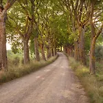 Borgo Certano - In Toscana * 锡耶纳