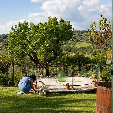 Borgo Certano - In Toscana Çiftlik konaklama Siena