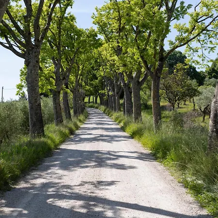 Farmház Borgo Certano - In Toscana *