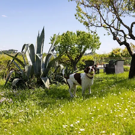 Borgo Villa Certano - Case Vacanza In Toscana Bauernhof Siena